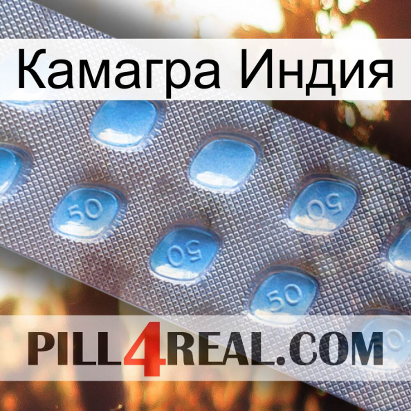 Камагра Индия viagra3.jpg